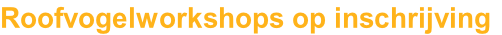 Roofvogelworkshops op inschrijving
