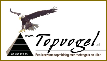 valken, valkenshow, valkenier, valkerij, vogelshow, roofvogelshow, roofvogelshows, topvogel, roofvogeldemonstratie, roofvogeldemonstraties, vogel, roofvogel, roofvogels, gier, arend ,uil, buizerd, havik, educatie, presentatie, verjaardag, feest, bruiloft, receptie, school, klas, kinderen, kind, recreatie, vliegen, natuur